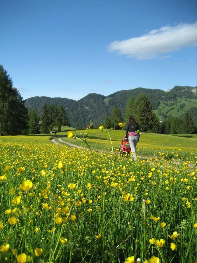 Agriturismo Luech Picedac La Valle Eksteriør billede